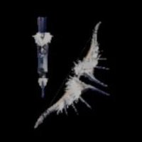 飛雷弓イテカガチ