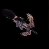 ブレイズライフル