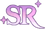 SRアイコン