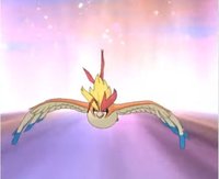 ポケマス グリーン ピジョットガチャは引くべきか ポケモンマスターズ ポケマス攻略wiki Gamerch